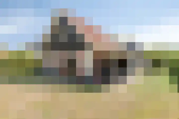 Hogeweg 44 0030 Burgh-Haamstede thumbnail 35