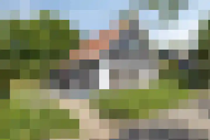Hogeweg 44 0030 Burgh-Haamstede thumbnail 4