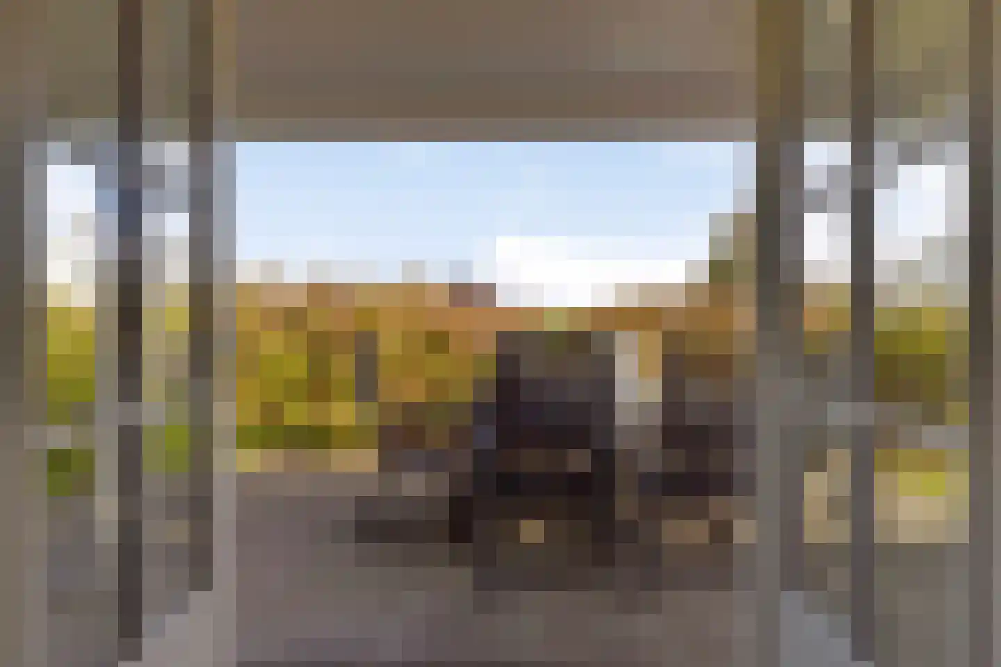 Hogeweg 44 0041 Burgh-Haamstede thumbnail 20