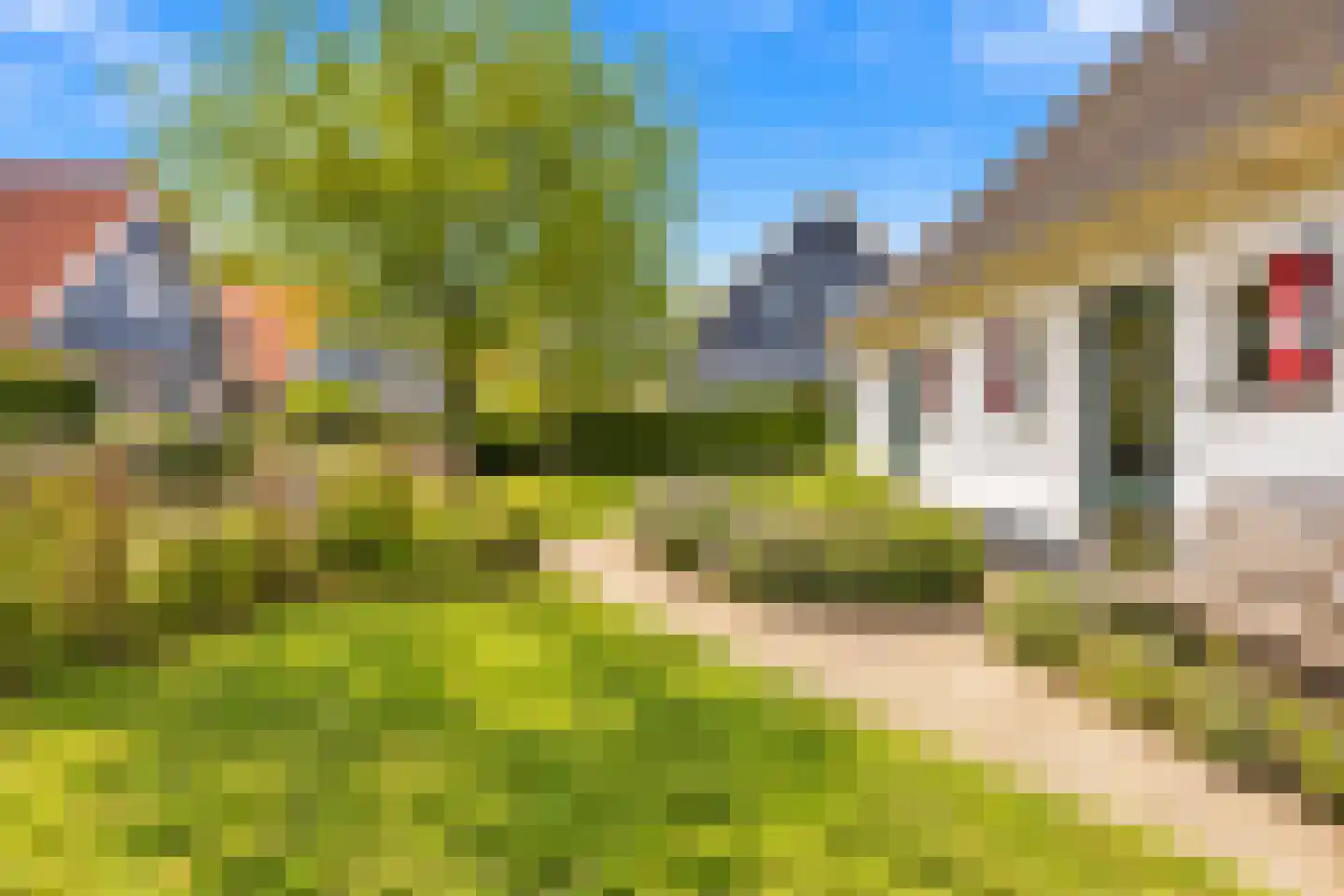 Hogeweg 44 0041 Burgh-Haamstede thumbnail 45