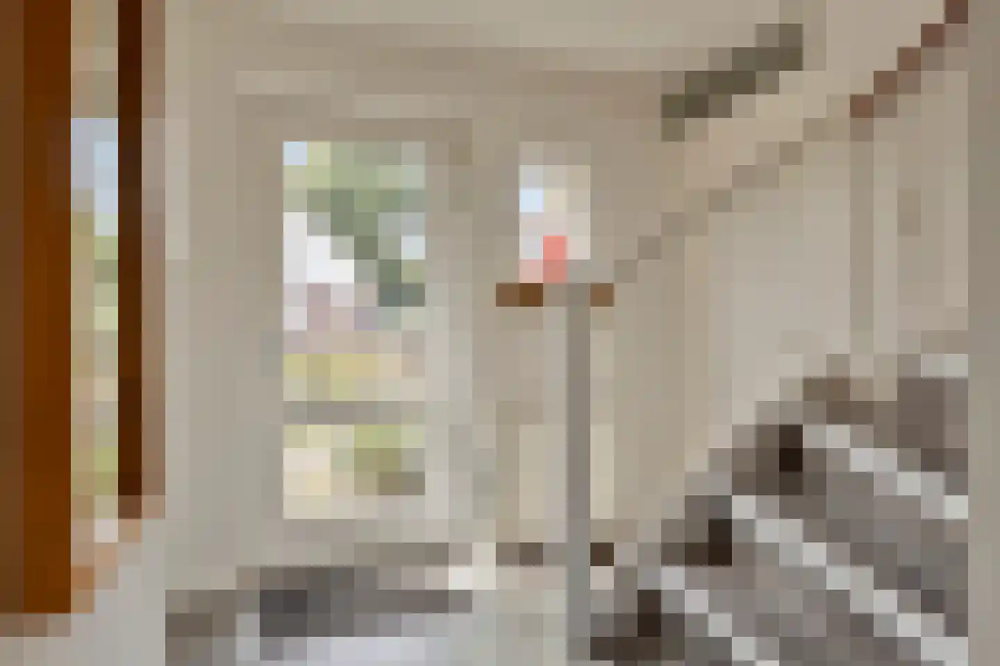 Hogeweg 44 0041 Burgh-Haamstede thumbnail 5