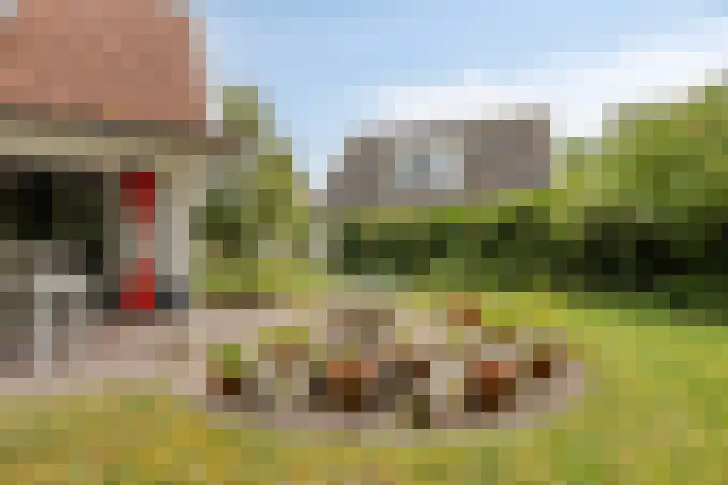 Hogeweg 44 0046 Burgh-Haamstede thumbnail 36