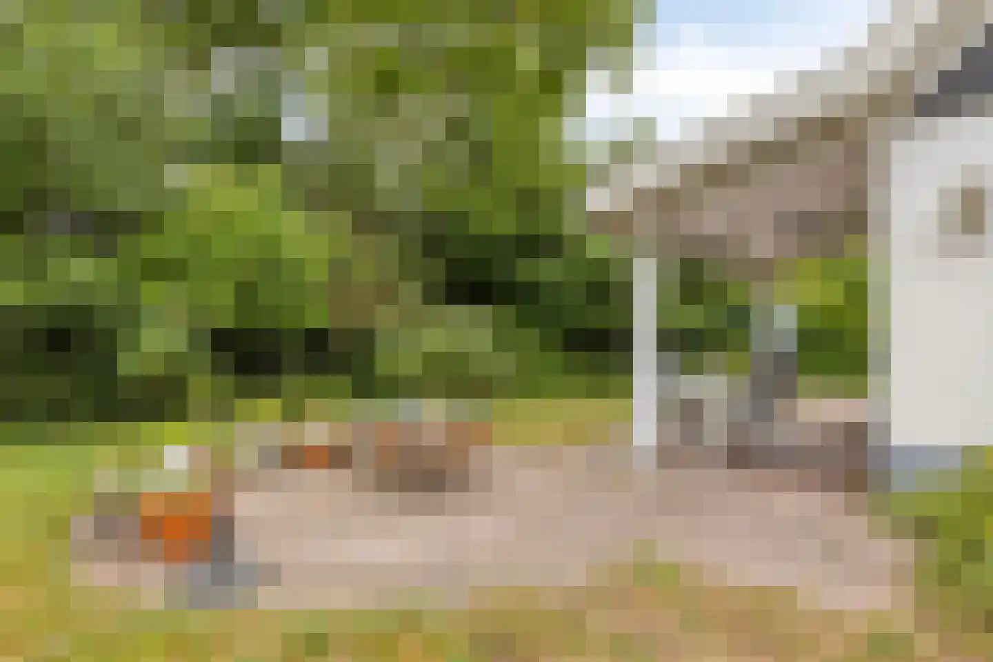 Hogeweg 44 0046 Burgh-Haamstede thumbnail 38