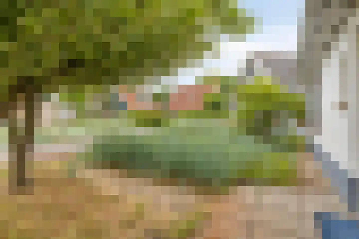 Hogeweg 44 0046 Burgh-Haamstede thumbnail 41