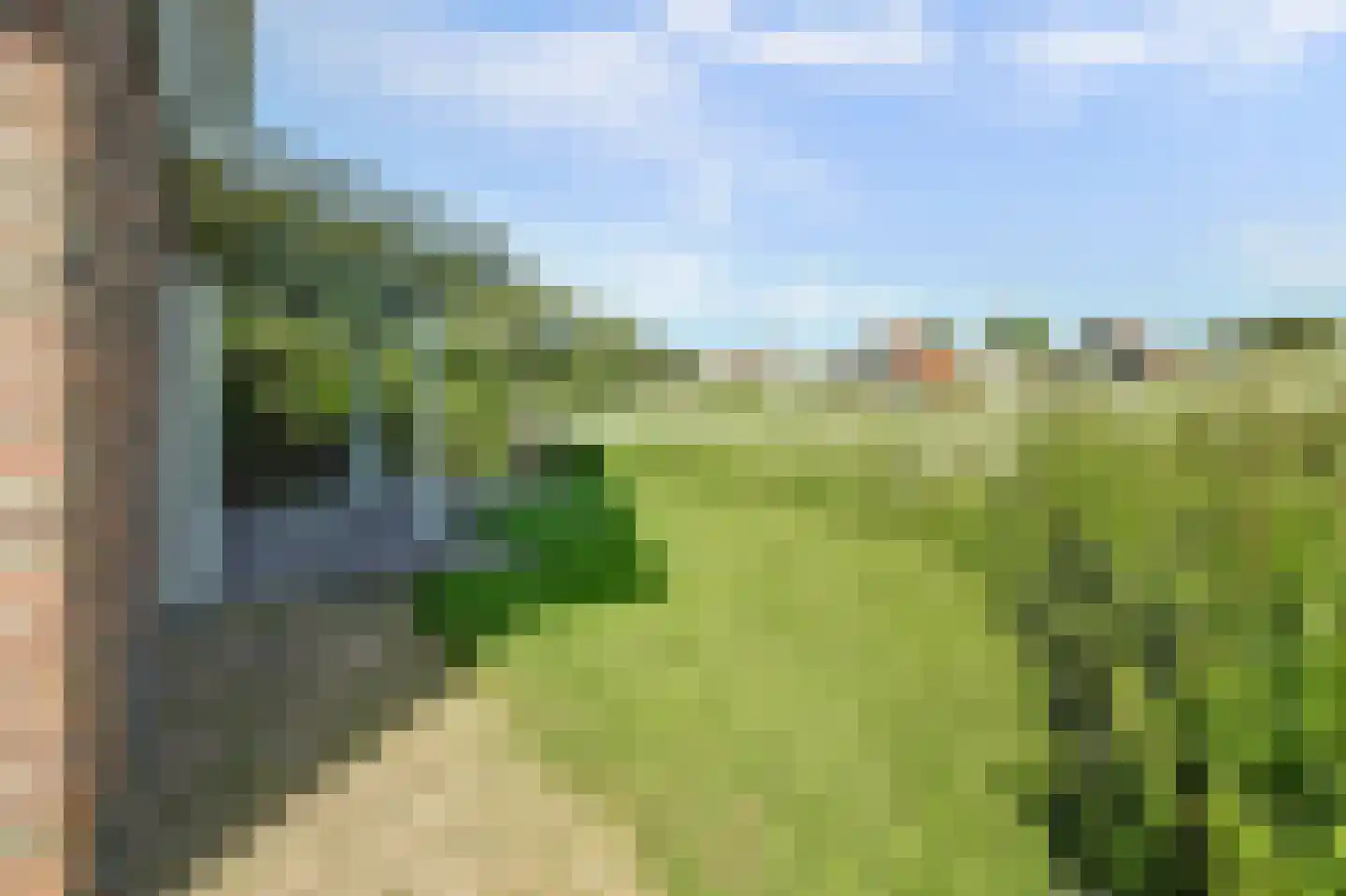 Hogeweg 44 0061 Burgh-Haamstede thumbnail 30