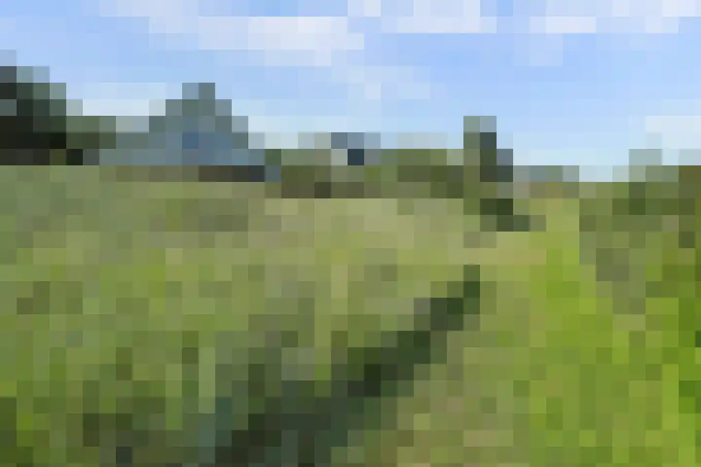 Hogeweg 44 0061 Burgh-Haamstede thumbnail 34