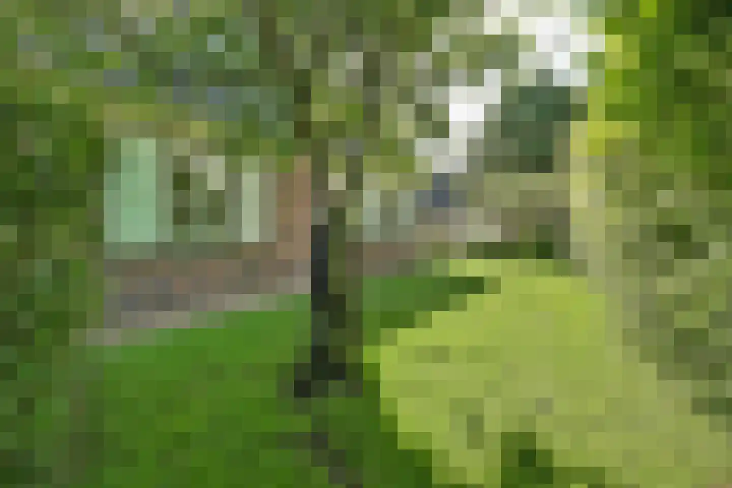 Hogeweg 44 0061 Burgh-Haamstede thumbnail 35
