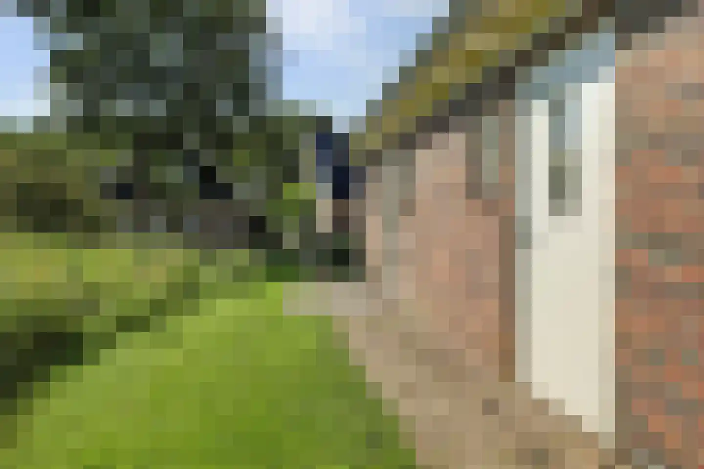 Hogeweg 44 0061 Burgh-Haamstede thumbnail 6