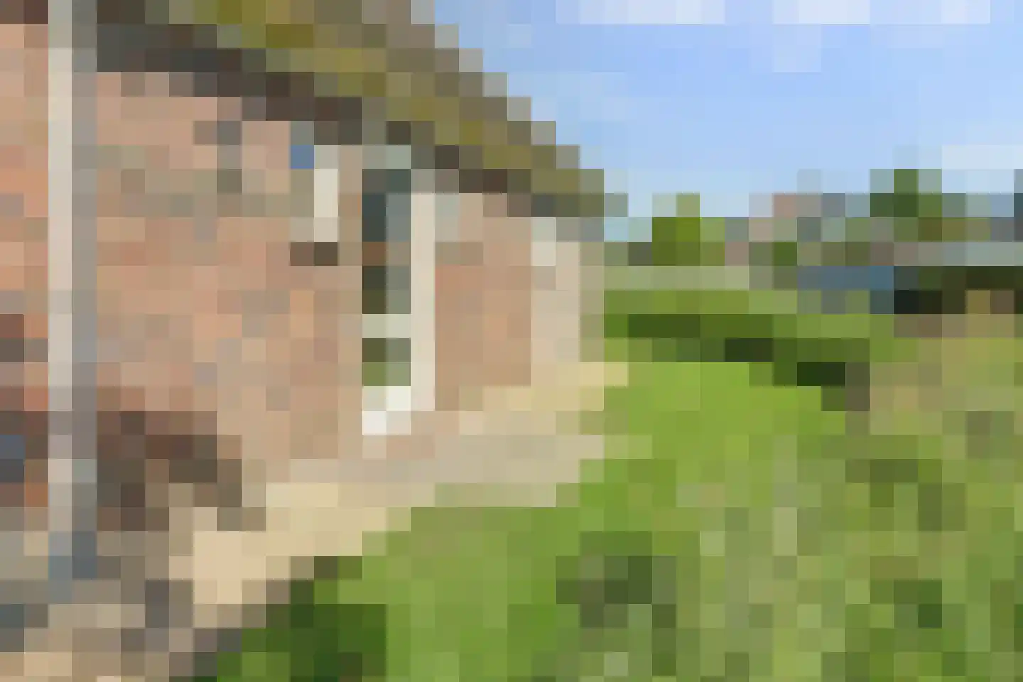 Hogeweg 44 0061 Burgh-Haamstede thumbnail 7