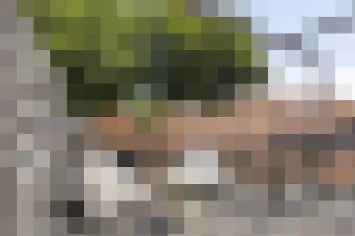 Hogeweg 46 Apeldoorn thumbnail 21