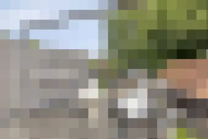Hogeweg 46 Apeldoorn thumbnail 22