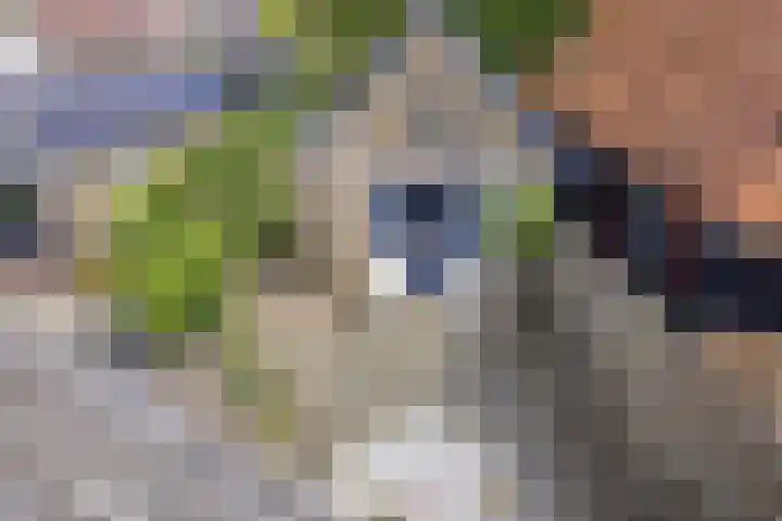 Hogeweg 46 Apeldoorn thumbnail 23