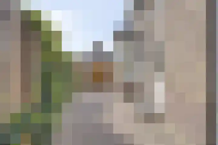 Hogeweg 46 Apeldoorn thumbnail 32