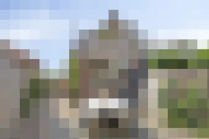 Hogeweg 46 Apeldoorn thumbnail 33