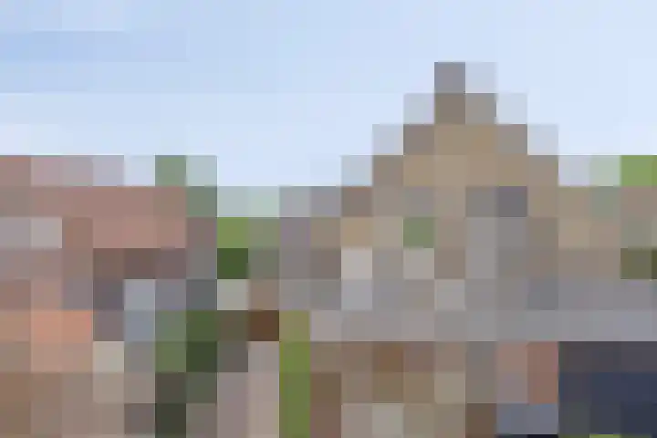Hogeweg 46 Apeldoorn thumbnail 35