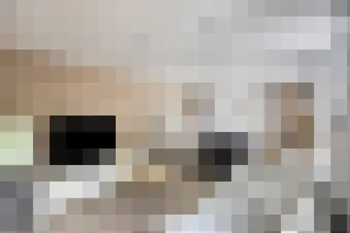 Hogeweg 46 Apeldoorn thumbnail 37