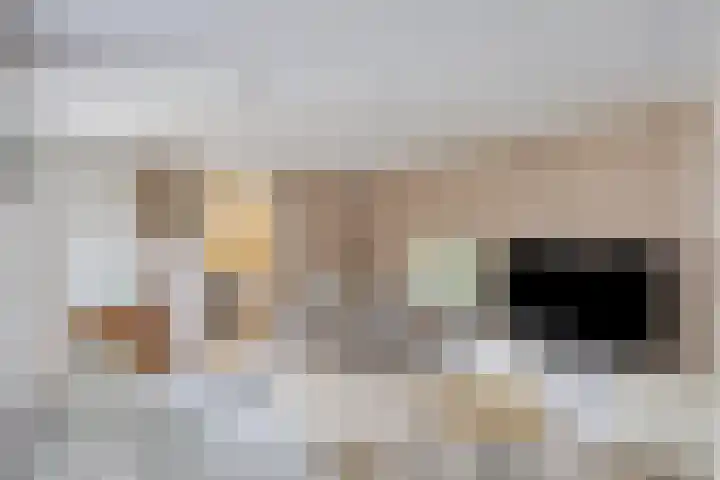Hogeweg 46 Apeldoorn thumbnail 39