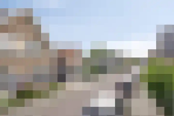 Hogeweg 46 Apeldoorn thumbnail 49