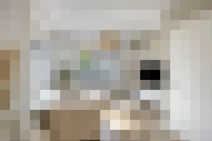 Hogeweg 46 Apeldoorn thumbnail 5