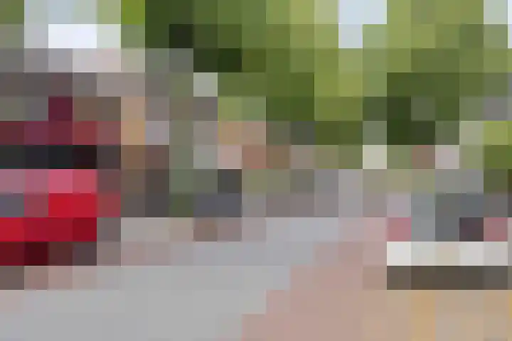 Hogeweg 46 Apeldoorn thumbnail 51