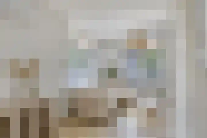 Hogeweg 46 Apeldoorn thumbnail 7