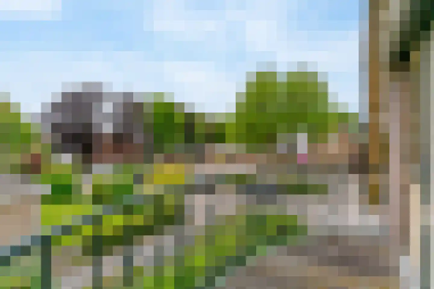 Hogeweg 46 Limmen thumbnail 21