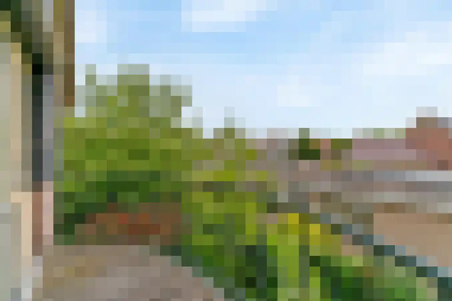 Hogeweg 46 Limmen thumbnail 22