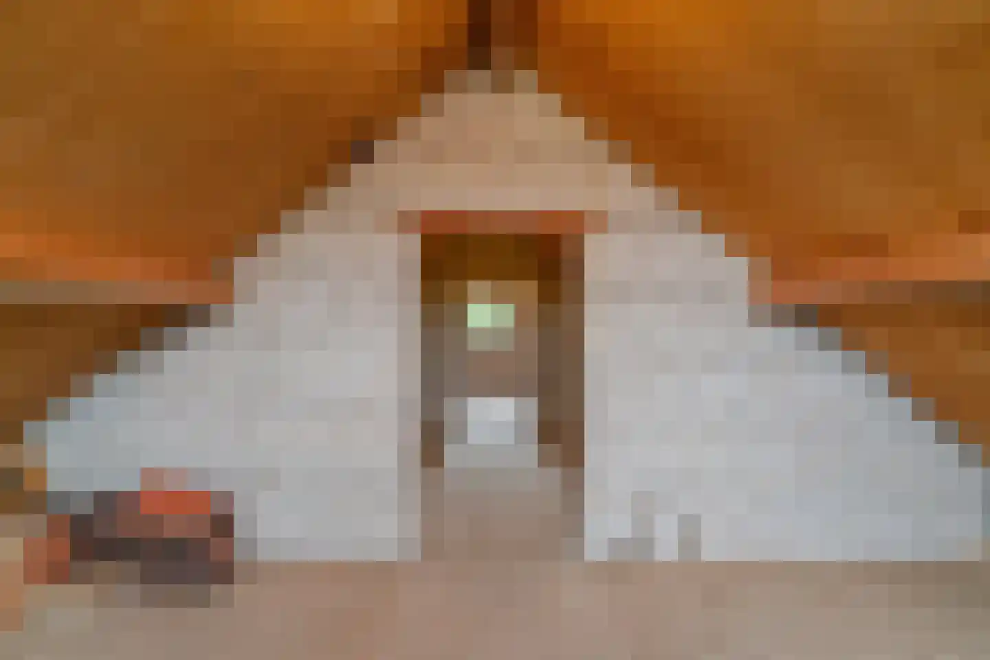 Hogeweg 46 Limmen thumbnail 35