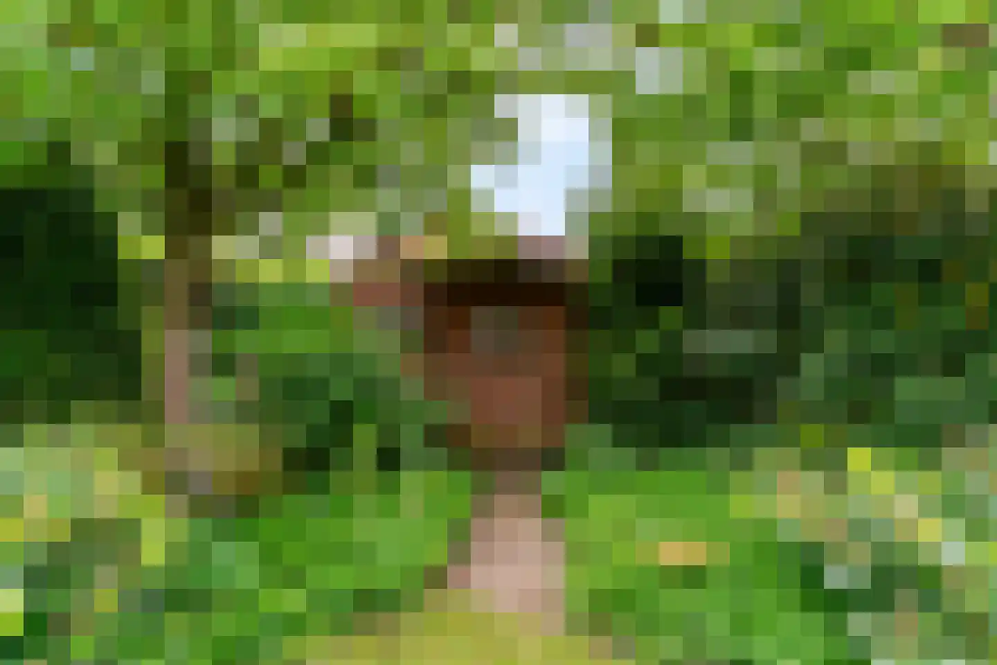 Hogeweg 46 Limmen thumbnail 50