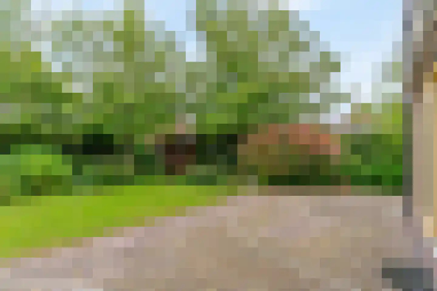 Hogeweg 46 Limmen thumbnail 51
