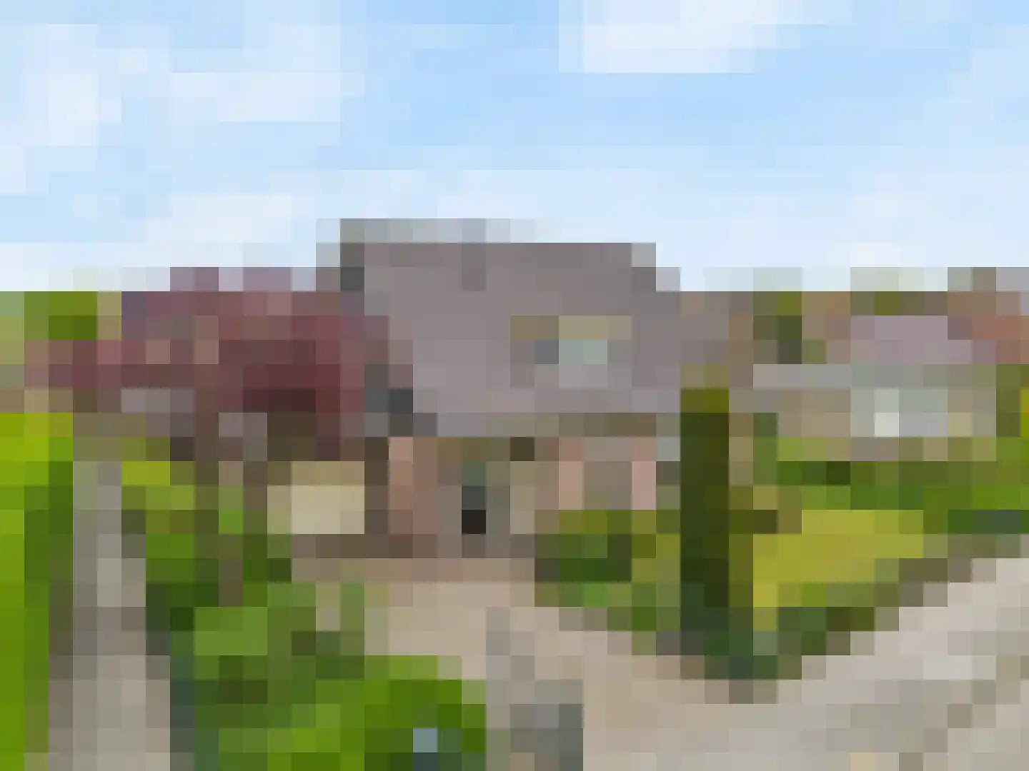 Hogeweg 46 Limmen thumbnail 55