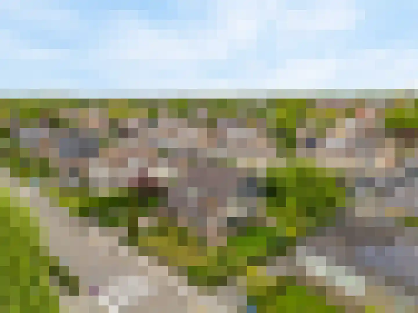 Hogeweg 46 Limmen thumbnail 56