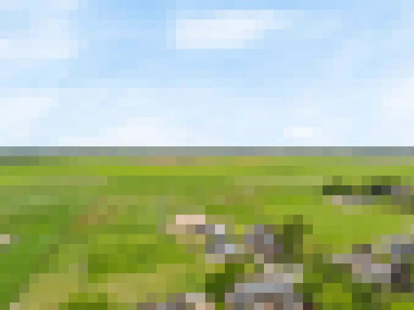 Hogeweg 46 Limmen thumbnail 60