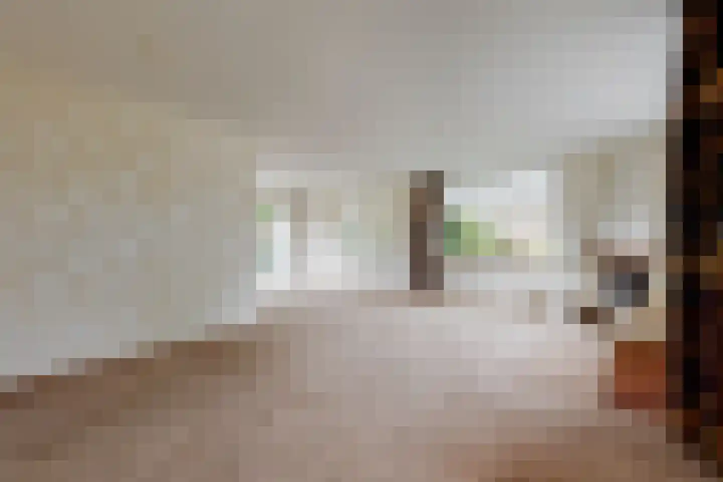 Hogeweg 46 Limmen thumbnail 7