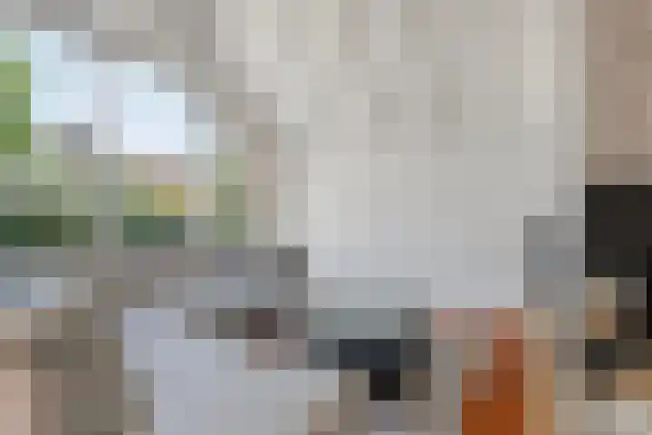 Hogeweg 47 Sint-Maartensdijk thumbnail 10