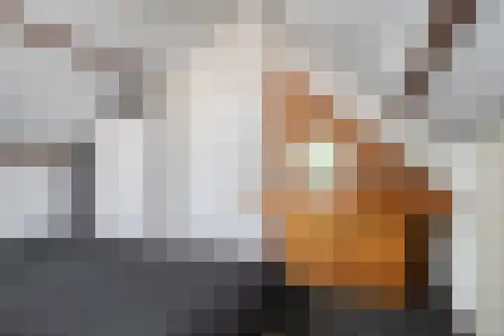 Hogeweg 47 Sint-Maartensdijk thumbnail 39