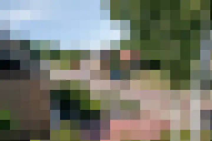 Hogeweg 47 Sint-Maartensdijk thumbnail 45