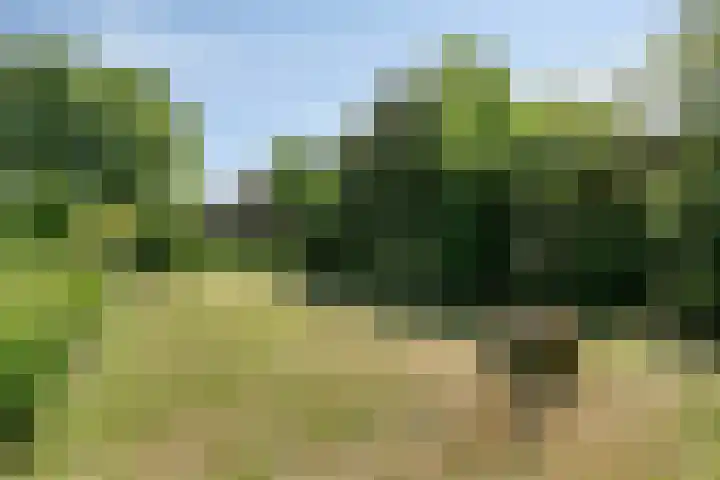 Hogeweg 47 Sint-Maartensdijk thumbnail 59