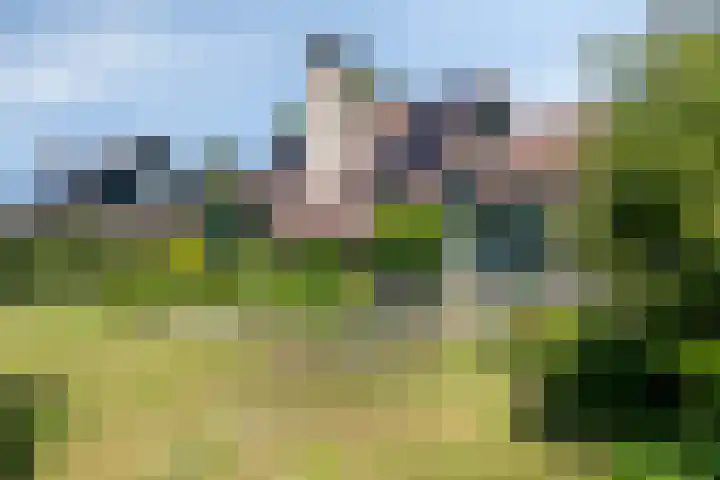 Hogeweg 47 Sint-Maartensdijk thumbnail 60