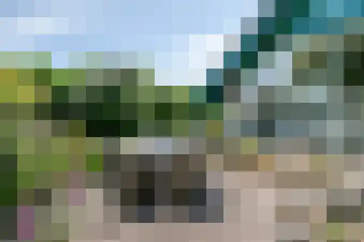 Hogeweg 47 Sint-Maartensdijk thumbnail 62