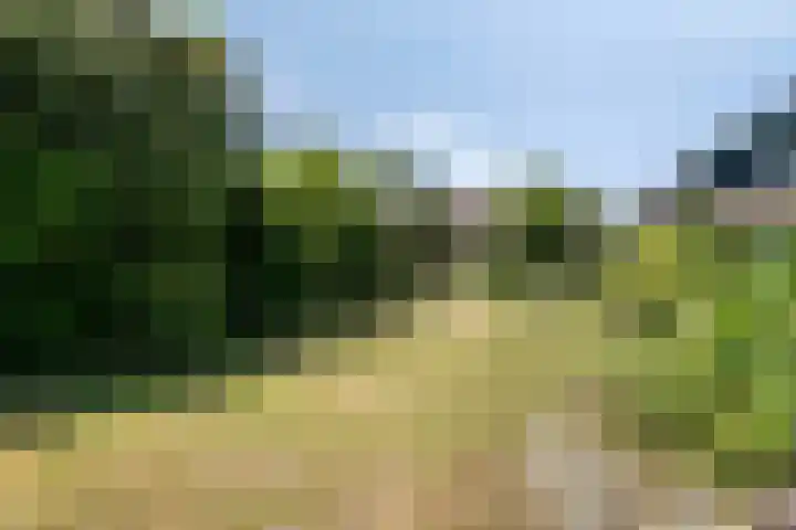 Hogeweg 47 Sint-Maartensdijk thumbnail 63