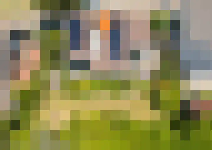 Hogeweg 47 Sint-Maartensdijk thumbnail 65