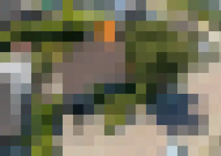 Hogeweg 47 Sint-Maartensdijk thumbnail 68