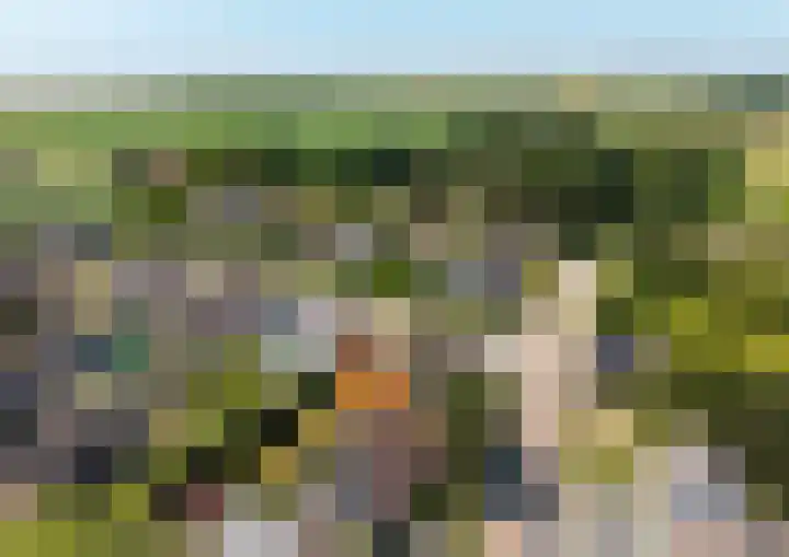Hogeweg 47 Sint-Maartensdijk thumbnail 69