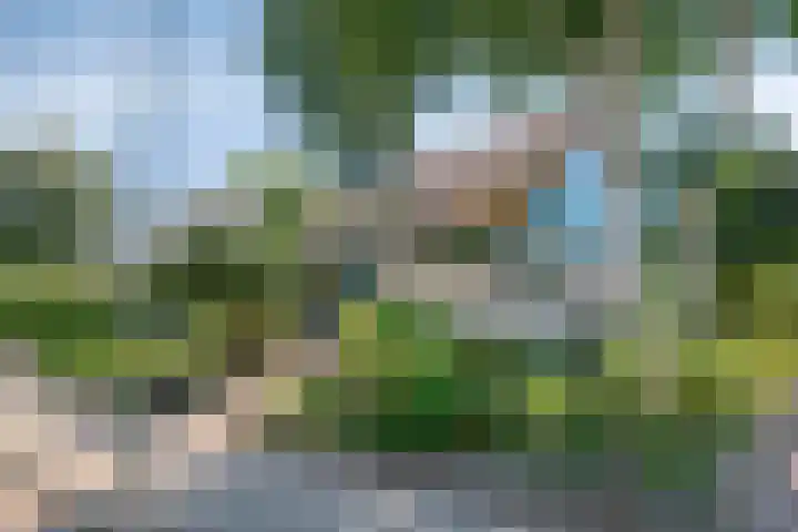 Hogeweg 47 Sint-Maartensdijk thumbnail 70