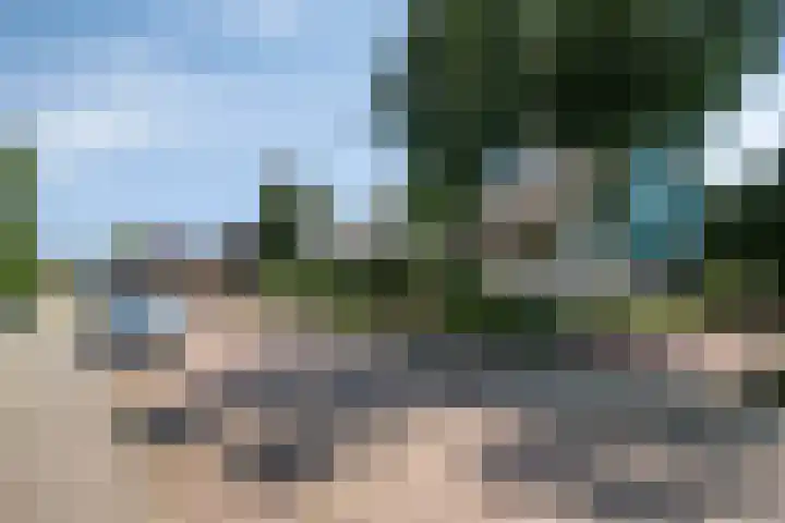 Hogeweg 47 Sint-Maartensdijk thumbnail 72