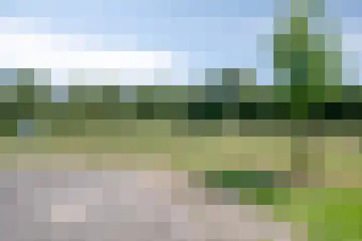 Hogeweg 47 Sint-Maartensdijk thumbnail 76