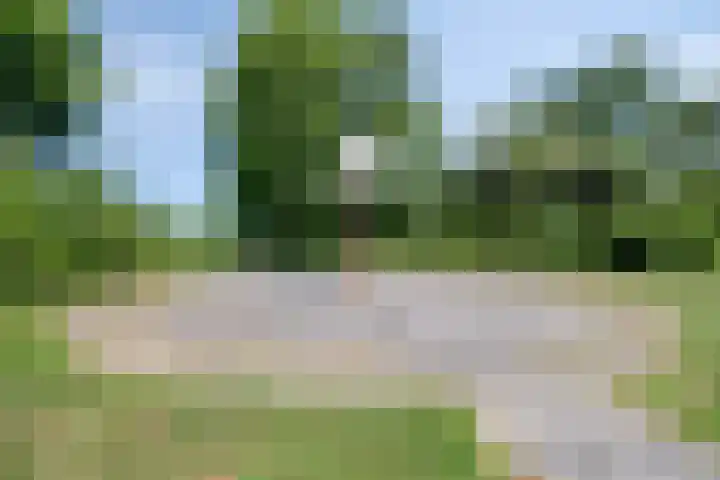 Hogeweg 47 Sint-Maartensdijk thumbnail 77