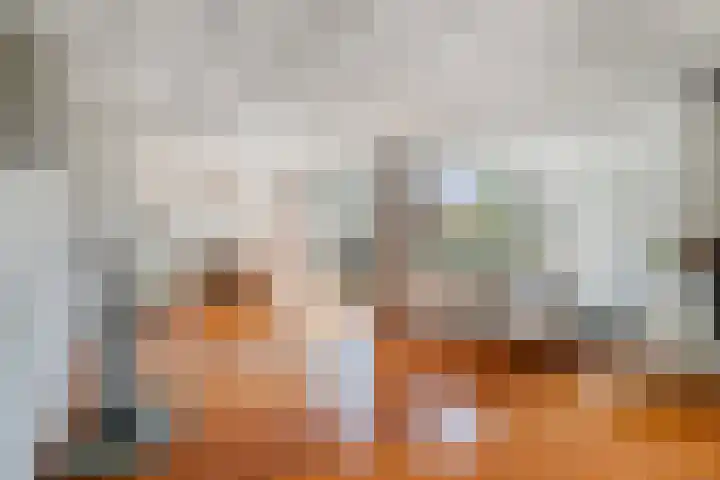 Hogeweg 47 Sint-Maartensdijk thumbnail 8