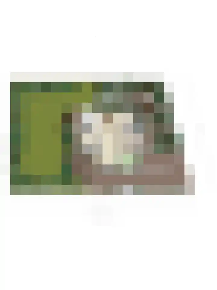 Hogeweg 47 Sint-Maartensdijk thumbnail 81